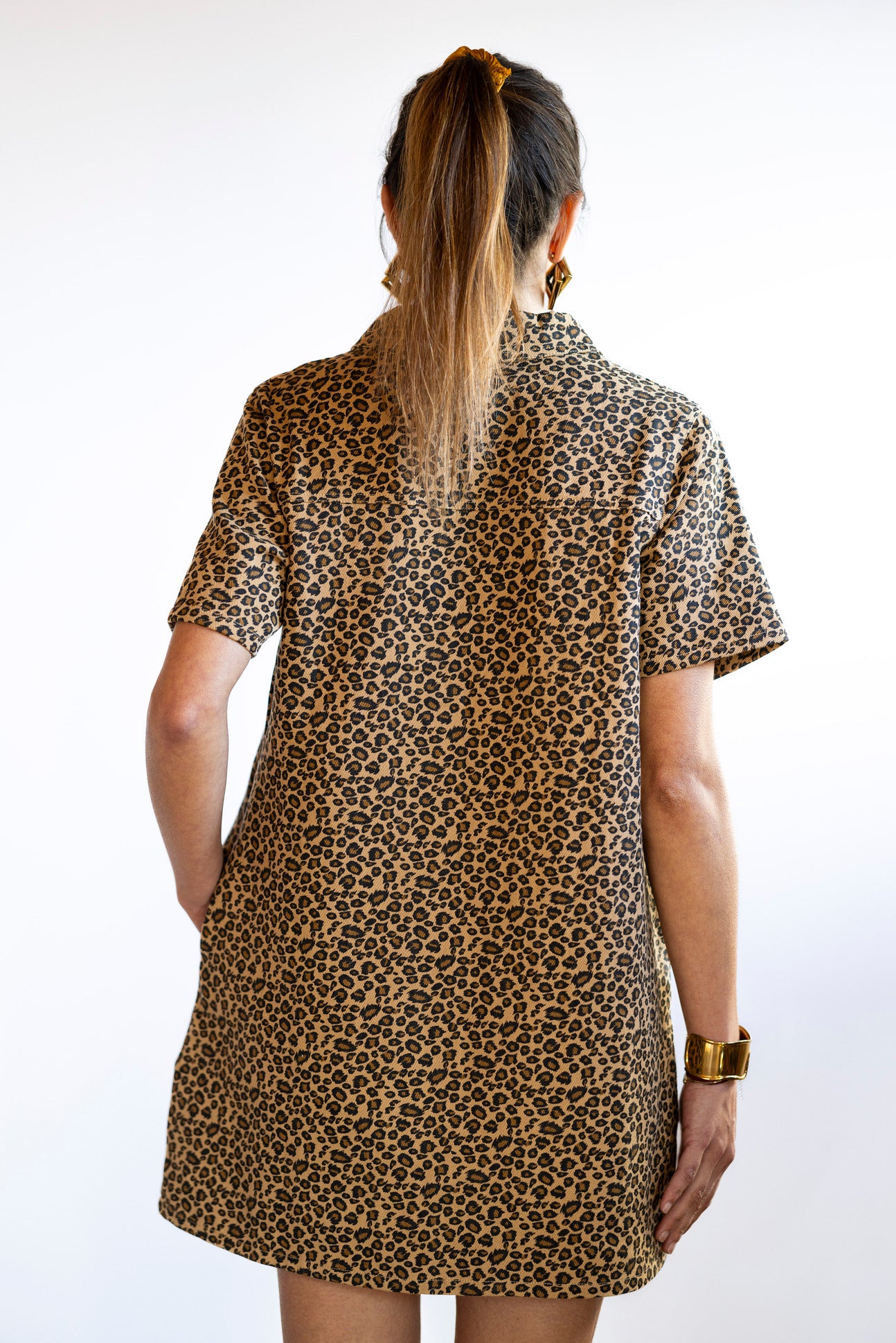 Robe Chemise - LEO